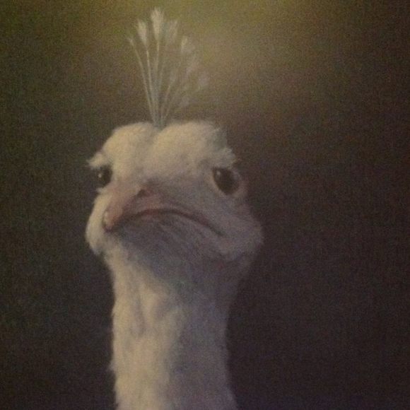 Meet your Posher, Sandy - Picture 1 of 1